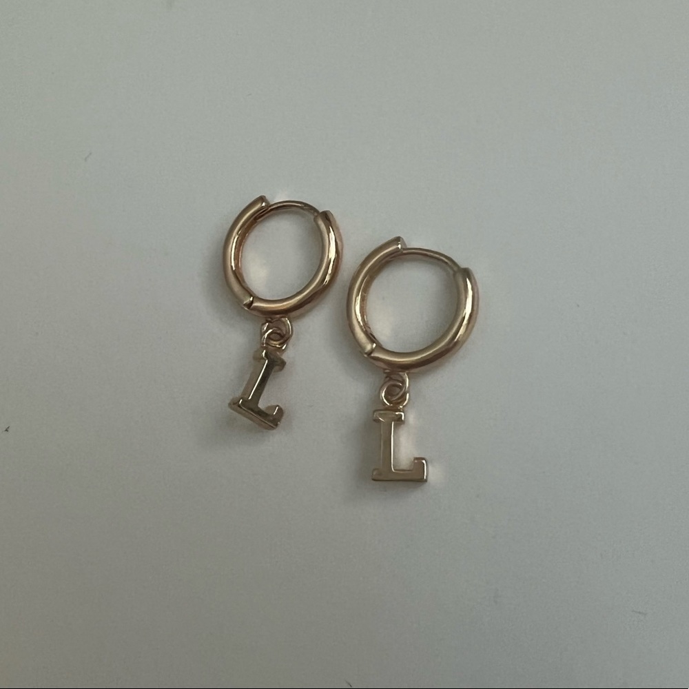 Francesca’s L earrings